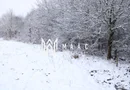Super oferta I teren intravilan de vanzare in Cisnadie