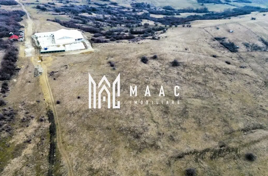 Teren 6,75 ha | Panoramă și Acces Excelent | Dealul Daii