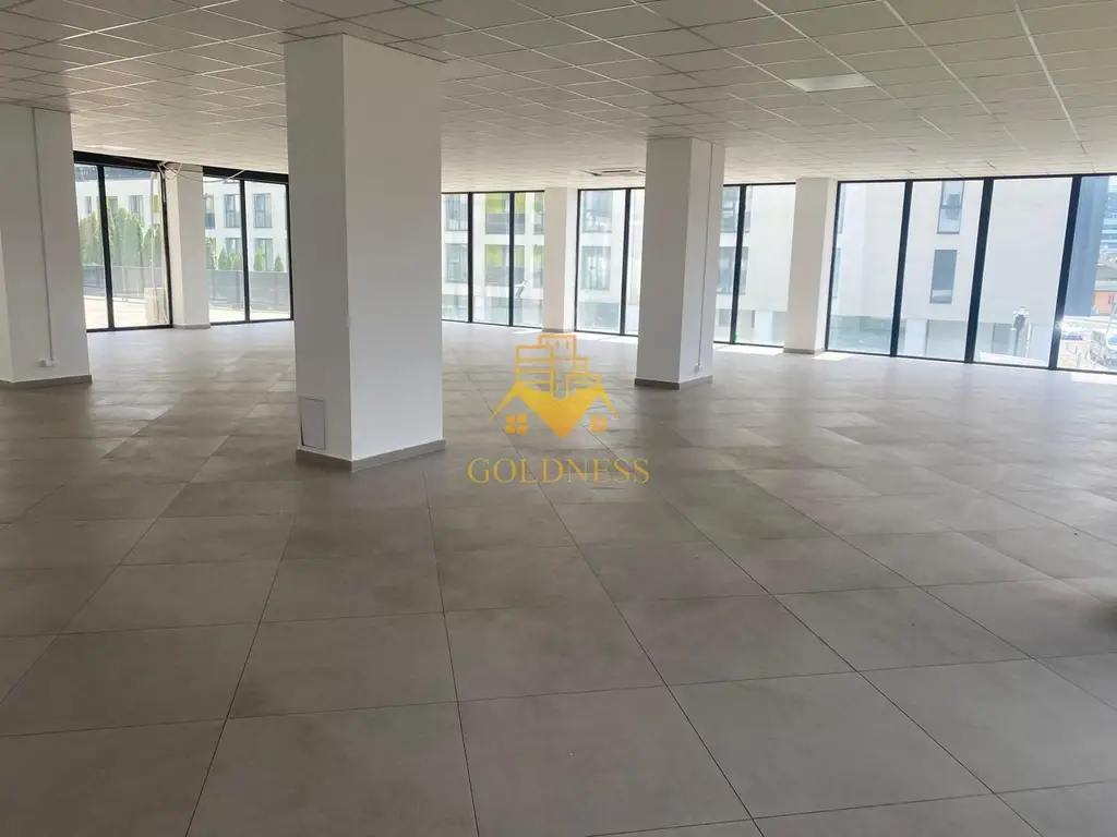 Spatiu comercial, Cartier Dambul Rotund, Lombului, Corneliu Coposu.
