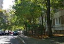 Piața berceni PROPRIETAR Spit bagdasar obregia