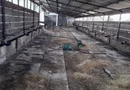 Vand casa cu grajd si teren in Satu Mare Com Craidorolot Jud Satu Mare 2