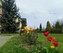 Reședință de lux cu potențial comercial –zonă Băi, Sângeorgiu de Mureș