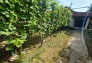 Teren in Timisoara. Zona Plopi. 421 mp