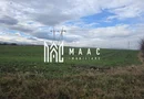 Teren intravilan | 29.300MP | Miercurea Sibiului