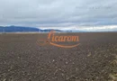 Teren extravilan 2,9 HA,intre Cristian si Vulcan