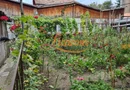Proprietate individuala-3 apartamente,spatiu comercial,garaje,gradina,curte