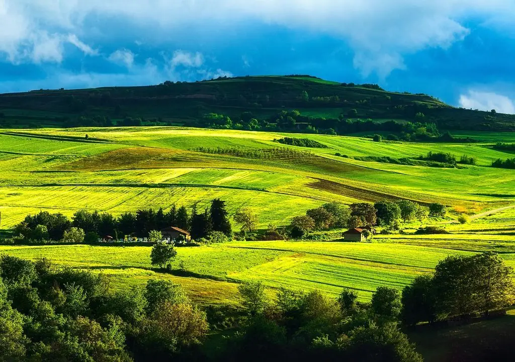 1.500 ha Teren agricol și pășune (Vestul României)