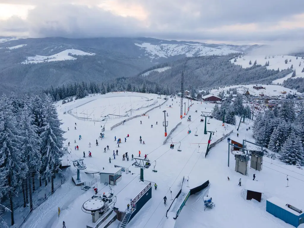 Teren 4,46 ha pentru resort / cabane – Vatra Dornei, intravilan + extr