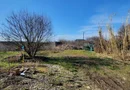 Teren Intravilan Vama Veche | 7.495 mp | Oportunitate Investiție