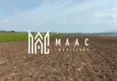 Teren | Extravilan | Oportunitate Investiție | 10 000 MP | Bradu