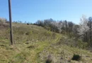 Teren cu panoramă fabuloasă, 10.059 mp, Roșia. 19.000 EUR. Comision 0