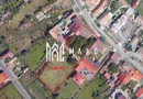 Casa cu teren 3100 mp Gusterita