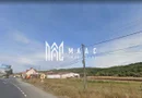 Teren Extravilan | 2600Mp | Zona Veștem