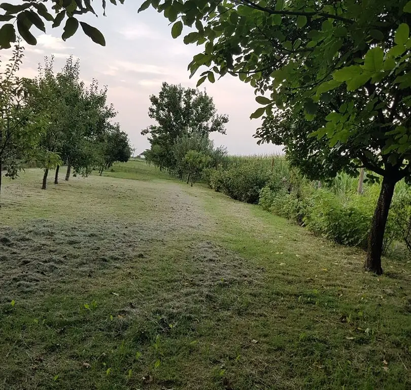 BRASADAS vinde casa individuala in zona Aurel Vlaicu.
