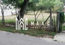 Teren Intravilan 10.000 mp | Livadă + Pădure de salcâm | Bărbătești