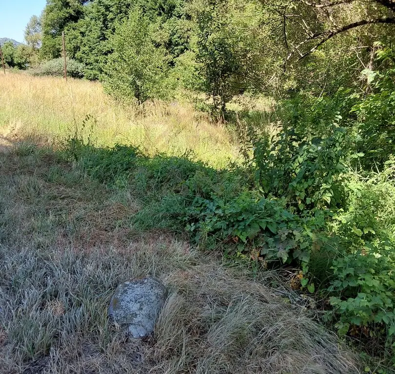 TEREN INTRAVILAN ÎN MARGA-LA DN68 JUD.CARAȘ-SEVERIN