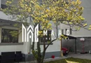 CASA VANZARE | ULTRACENTRAL | TEREN 600 MP