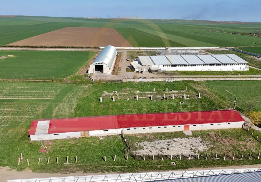 Tariverde - Ferma zootehnica functionala, 3 hectare teren intravilan!