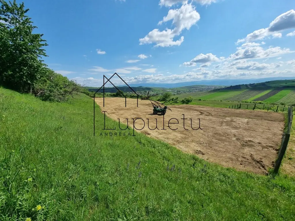 Teren Extravilan de Vânzare – 2.500 mp | Hamba | Zonă în Dezvoltare
