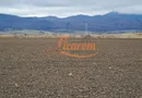 Teren extravilan 2,9 HA,intre Cristian si Vulcan