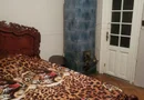 Vand apartament in vila