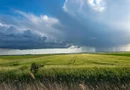 1.835 ha Fermă operațională și teren agricol (Vestul României)
