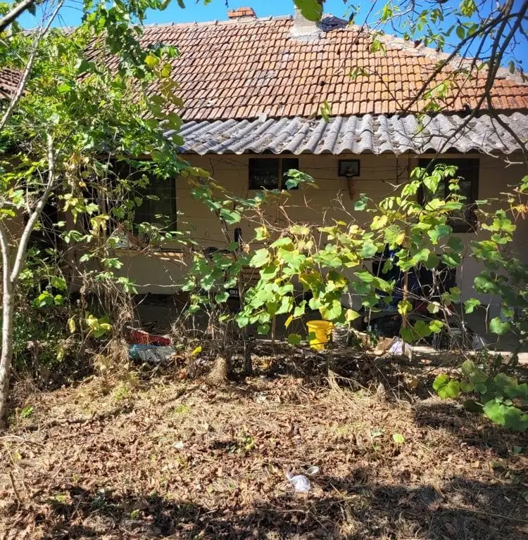 BRASADAS vinde casa in Moftinul Mare.