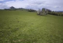 Teren de vânzare