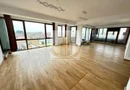 Penthouse de Lux pe Ștefan cel Mare | 154 mp + Terasă 150 mp