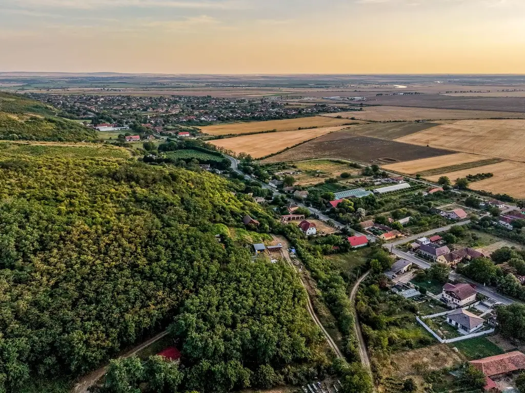 Teren pe deal, 1.150 mp, în Miniș, front 26 m, Drumul Vinului