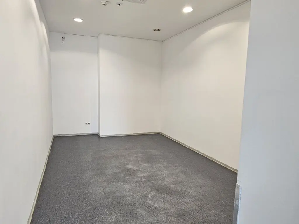 Pantelimon spatiu comercial 650 mp