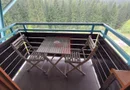 2 camere, intim, semineu, Silver Mountain