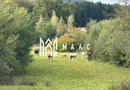Teren intravilan | UTILITATI | 4717MP | TOCILE