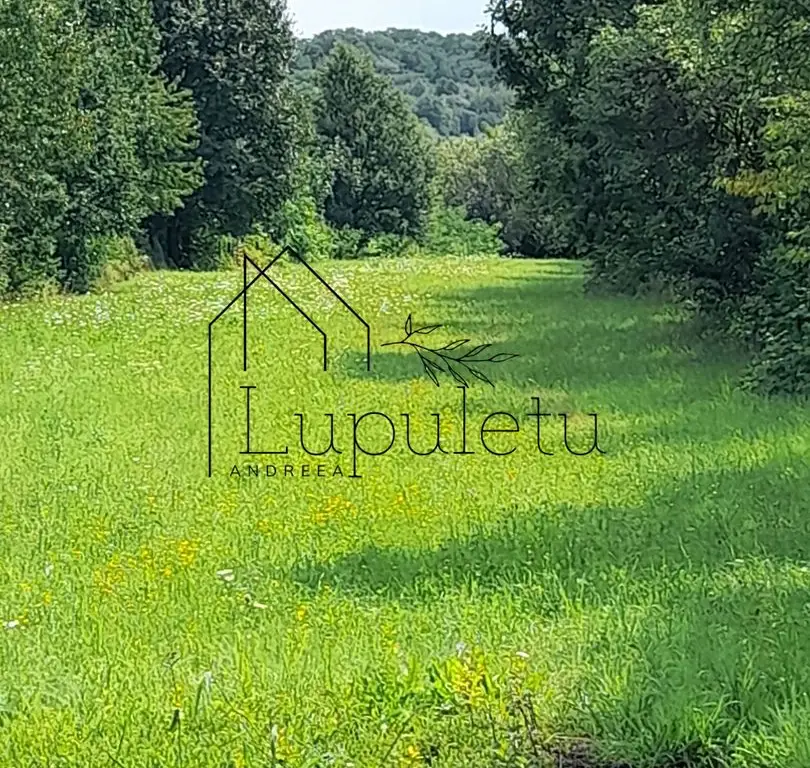 Teren Intravilan | 1500 MPU | Tocile, Comuna Sadu