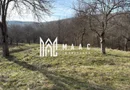 Teren de vânzare, 7750 mp I Orientare sudică I Caineni