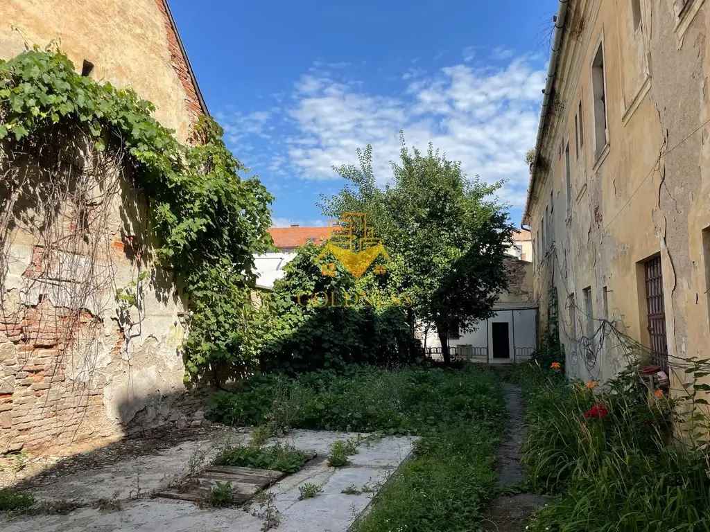 Casă 3 camere, Mihail Kogalniceanu, Zona Ultracentrală, Curte 240 mp