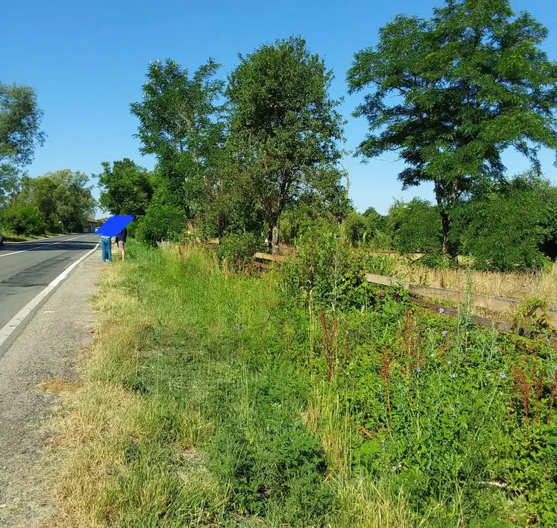 TEREN INTRAVILAN ZĂVOI\ZONA VALEA BISTREI, JUD.C-S