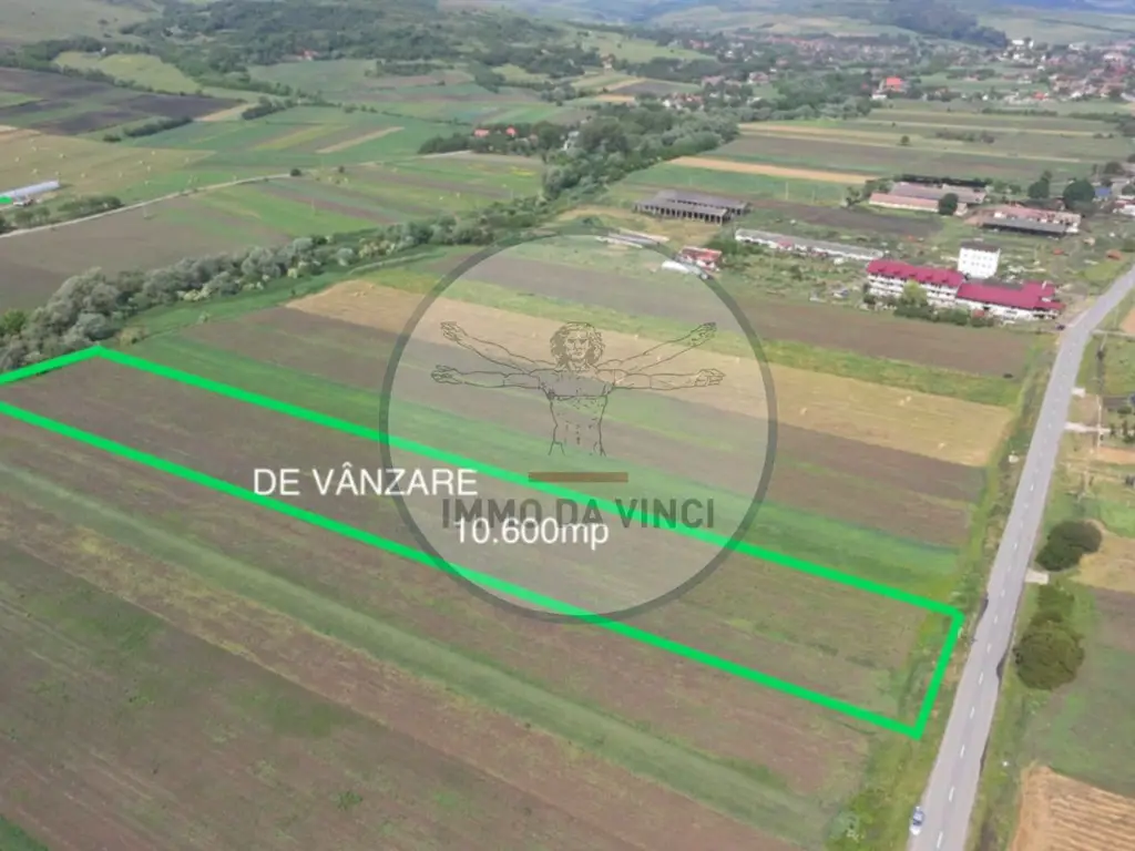Teren 10.670 mp | Borșa Cluj | Front 38m | Utilități