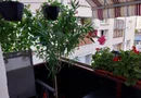 Apartament 3 camere cu garaj autorizat și beci
