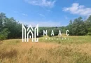 Teren | 12.922 MP | Loamneș