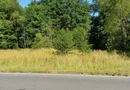 TEREN INTRAVILAN ÎN MARGA-LA DN68 JUD.CARAȘ-SEVERIN