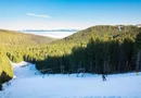 Casă montană cu 3.000 mp teren | Dorna Arini – lângă Vatra Dornei