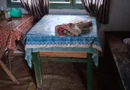 De vânzare casă cu teren Albac 5000m²