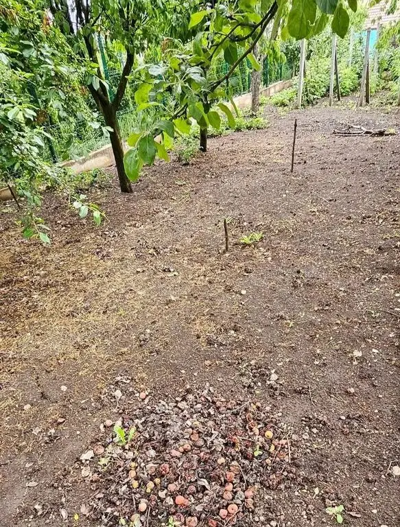 Casă de vânzare