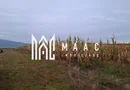 Teren Intravilan | 3900 MP | Tălmaciu